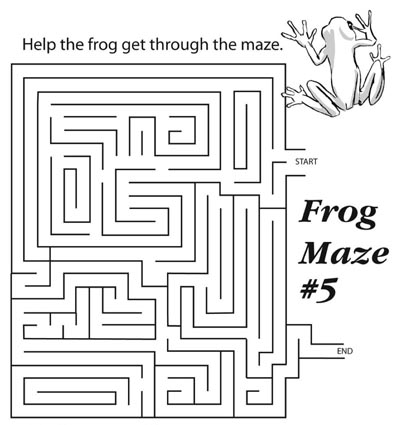Frog Maze